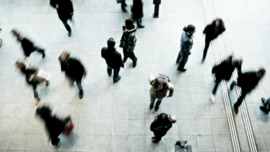 Article 116 Portugal Residency: What Applicants Should Know 