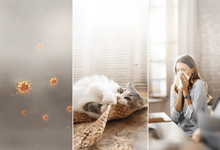 Grass pollen peaks from mid-May to July, while dust mites and pet dander stay all year indoors.
