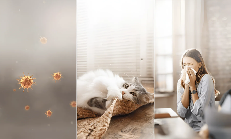 Grass pollen peaks from mid-May to July, while dust mites and pet dander stay all year indoors.